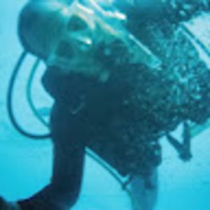 Meet your Posher, Gregg